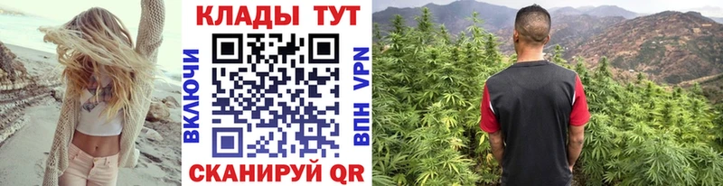 Купить наркоту Десногорск Alpha-PVP  Меф  Галлюциногенные грибы  МАРИХУАНА  ГАШИШ 