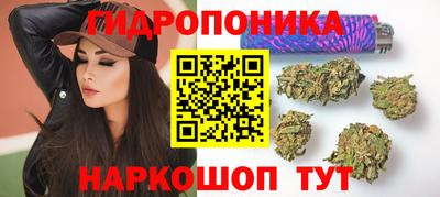 прущие крисы Кунгур