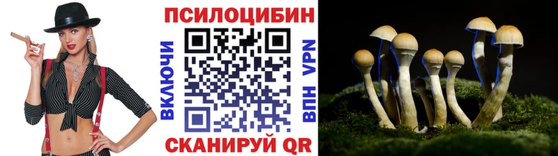 МЕГА ONION  купить  сайты  Десногорск  Псилоцибиновые грибы прущие грибы 