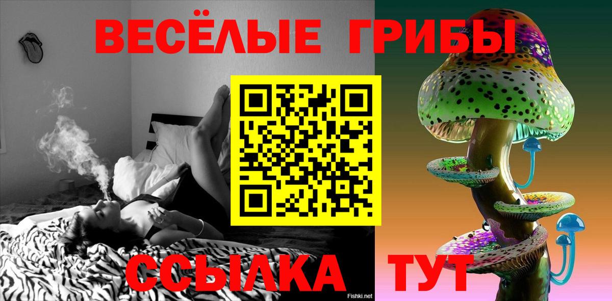Галлюциногенные грибы Psilocybe  Вход с VPN  Десногорск 